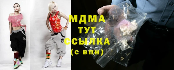 сатива Лабытнанги