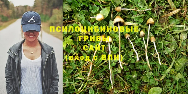 прущие крисы Абаза